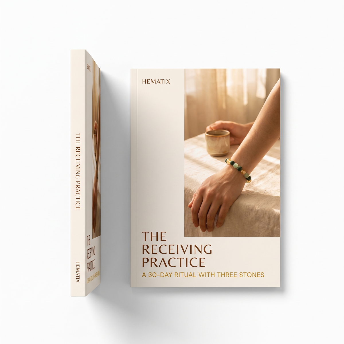 The Receiving Practice — book front and spine