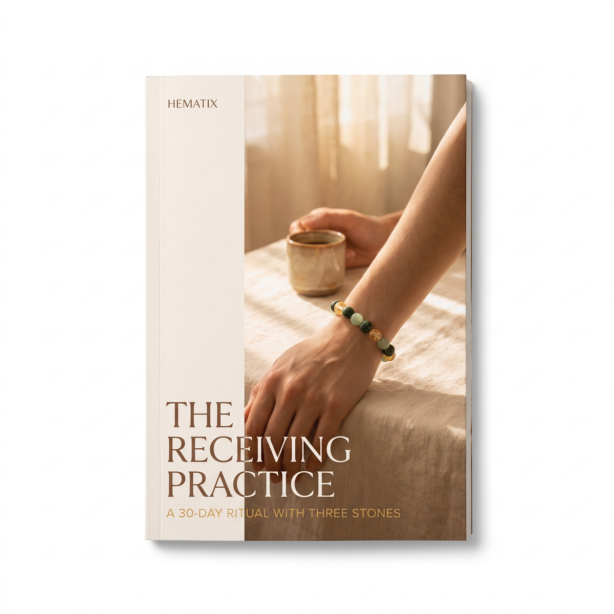 The Receiving Practice — book cover standing